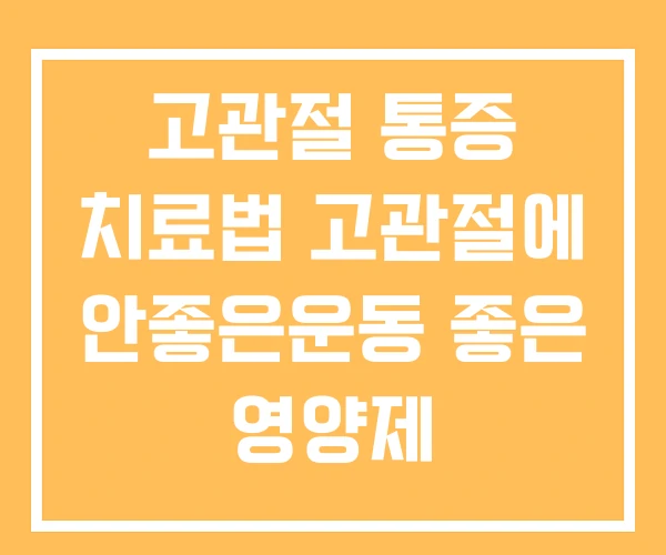 고관절 통증 치료법 고관절에 안좋은운동 좋은 영양제 고관절 통증 치료법 고관절에 안좋은운동 좋은 영양제