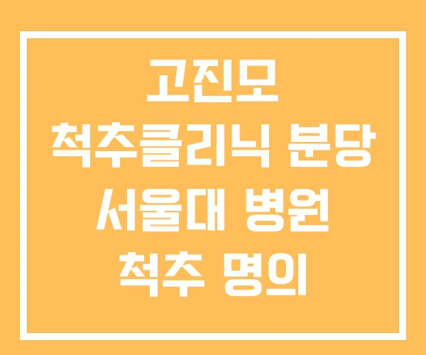 고진모 척추클리닉 분당 서울대 병원 척추 명의 척추센터