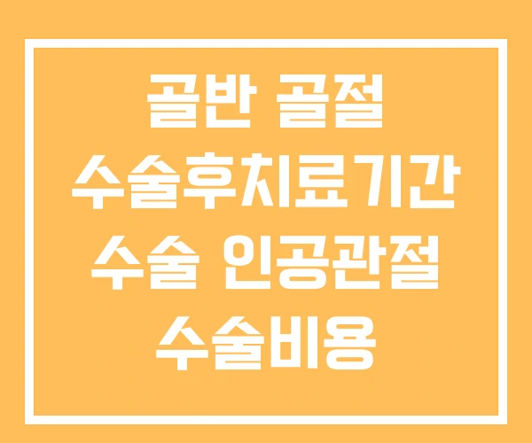 골반 골절 수술후치료기간 수술 인공관절 수술비용 골반 골절 수술후치료기간 수술 인공관절 수술비용