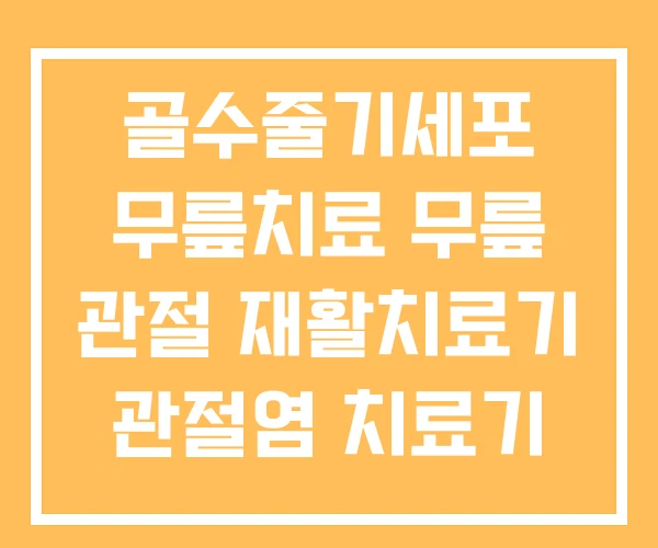 골수줄기세포 무릎치료 무릎 관절 재활치료기 관절염 치료기 골수줄기세포 무릎치료 무릎 관절 재활치료기 관절염 치료기