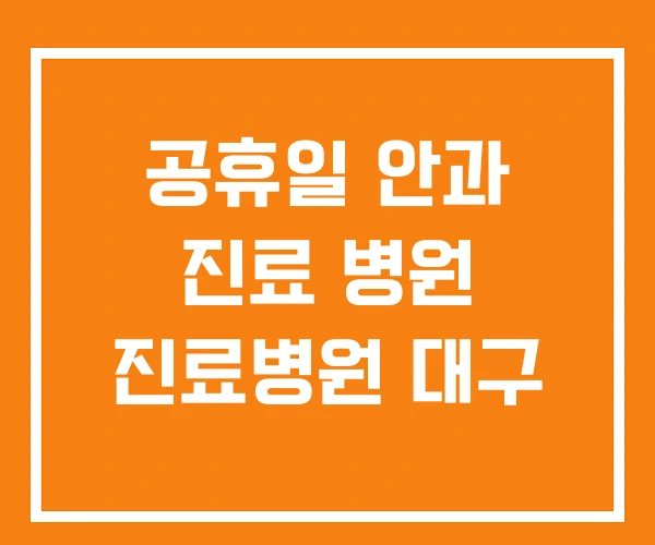 공휴일 안과 진료 병원 진료병원 대구