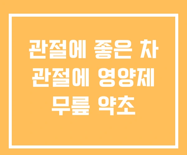 관절에 좋은 차 관절에 영양제 무릎 약초 관절에 좋은 차 관절에 영양제 무릎 약초
