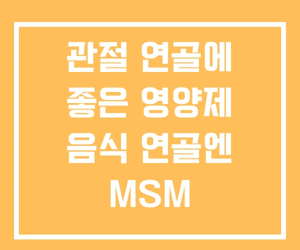 관절 연골에 좋은 영양제 음식 연골엔 MSM 관절 연골에 좋은 영양제 음식 연골엔 MSM