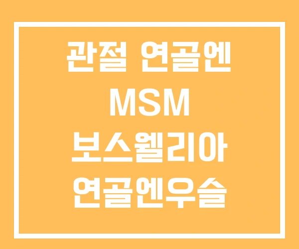 관절 연골엔 MSM 보스웰리아 연골엔우슬 조인트100