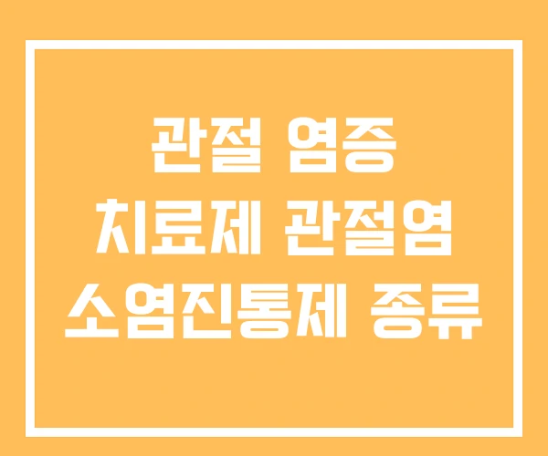 관절 염증 치료제 관절염 소염진통제 종류