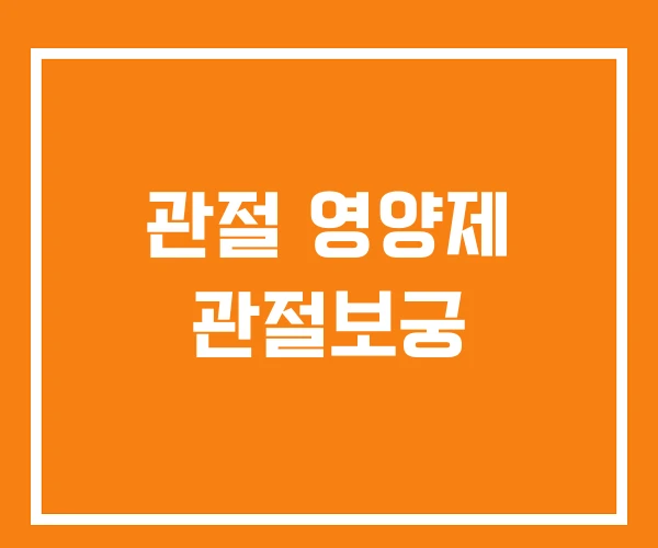 관절 영양제 관절보궁