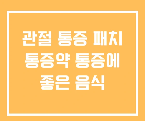 관절 통증 패치 통증약 통증에 좋은 음식 관절 통증 패치 통증약 통증에 좋은 음식