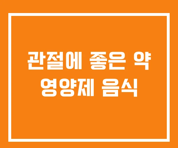 관절에 좋은 약 영양제 음식 관절에 좋은 약 영양제 음식