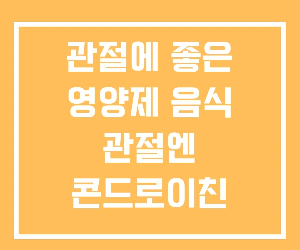 관절에 좋은 영양제 음식 관절엔 콘드로이친 1200MG 관절에 좋은 영양제 음식 관절엔 콘드로이친 1200MG