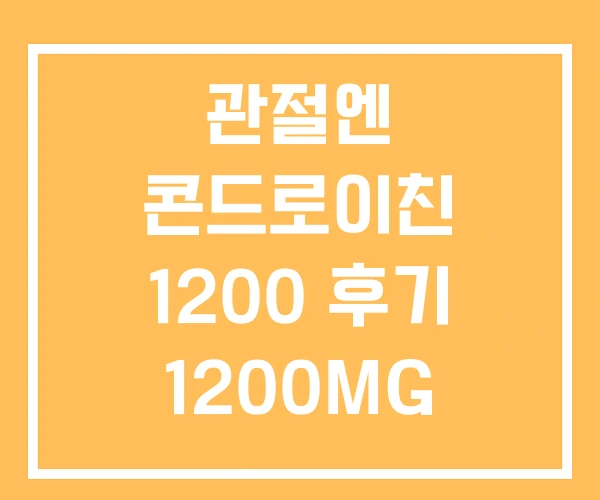 관절엔 콘드로이친 1200 후기 1200MG 12개월