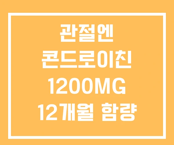 관절엔 콘드로이친 1200MG 12개월 함량