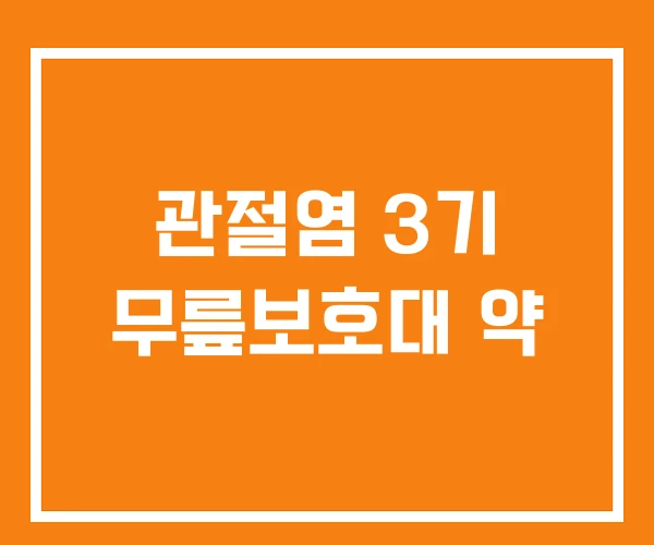 관절염 3기 무릎보호대 약