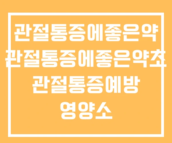 관절통증에좋은약 관절통증에좋은약초 관절통증예방 영양소 관절통증에좋은약 관절통증에좋은약초 관절통증예방 영양소