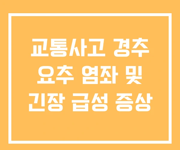 교통사고 경추 요추 염좌 및 긴장 급성 증상 교통사고 경추 요추 염좌 및 긴장 급성 증상