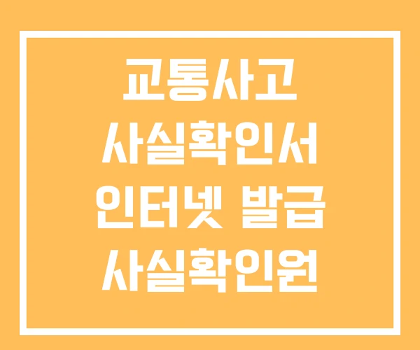 교통사고 사실확인서 인터넷 발급 사실확인원 상해등급표 교통사고 사실확인서 인터넷 발급 사실확인원 상해등급표