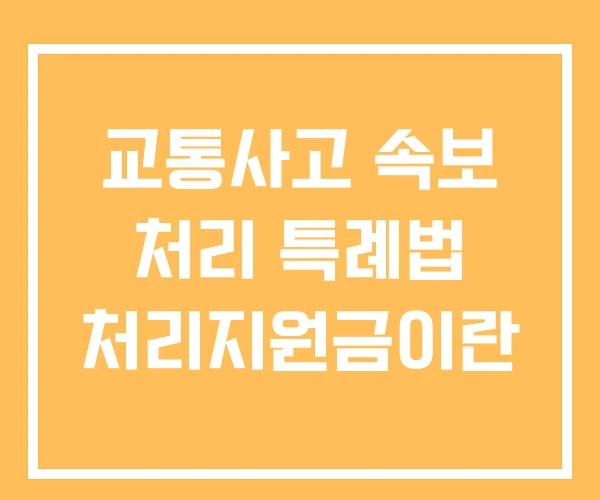 교통사고 속보 처리 특례법 처리지원금이란