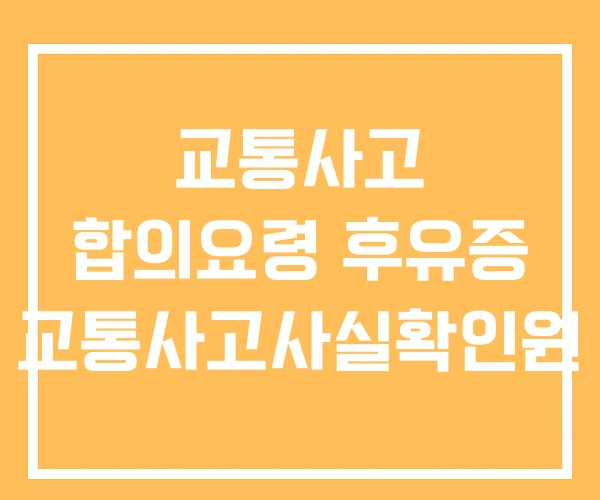 교통사고 합의요령 후유증 교통사고사실확인원 교통사고 합의요령 후유증 교통사고사실확인원