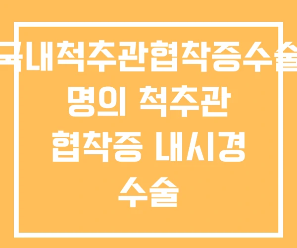 국내척추관협착증수술 명의 척추관 협착증 내시경 수술