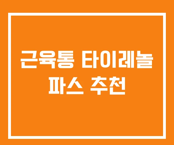 근육통 타이레놀 파스 추천