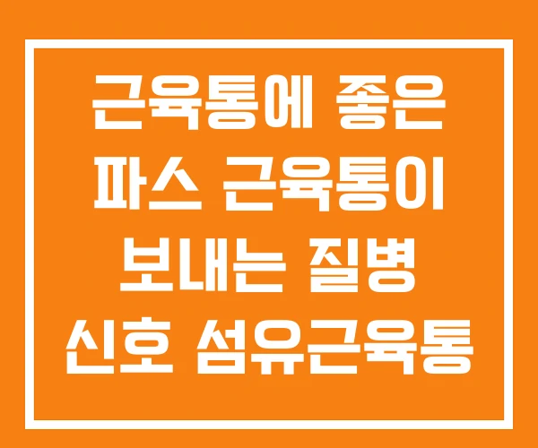 근육통에 좋은 파스 근육통이 보내는 질병 신호 섬유근육통