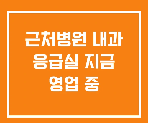 근처병원 내과 응급실 지금 영업 중
