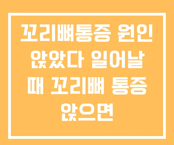 꼬리뼈통증 원인 앉았다 일어날 때 꼬리뼈 통증 앉으면 꼬리뼈통증 원인 앉았다 일어날 때 꼬리뼈 통증 앉으면