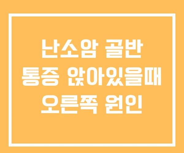 난소암 골반 통증 앉아있을때 오른쪽 원인 난소암 골반 통증 앉아있을때 오른쪽 원인
