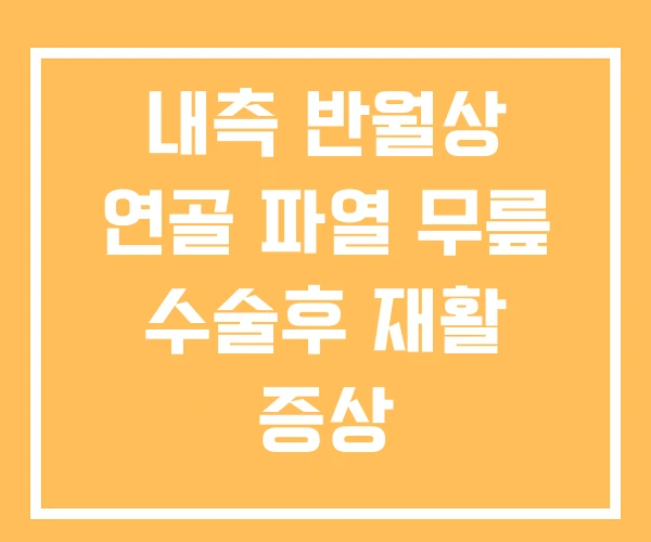 내측 반월상 연골 파열 무릎 수술후 재활 증상 내측 반월상 연골 파열 무릎 수술후 재활 증상