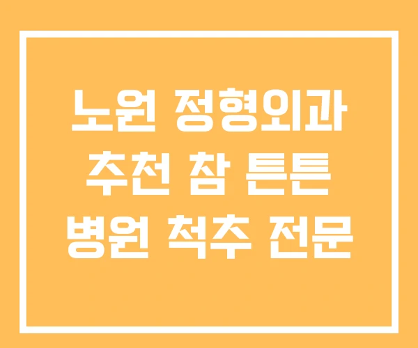 노원 정형외과 추천 참 튼튼 병원 척추 전문
