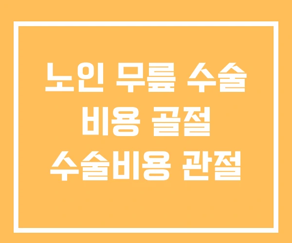 노인 무릎 수술 비용 골절 수술비용 관절 노인 무릎 수술 비용 골절 수술비용 관절