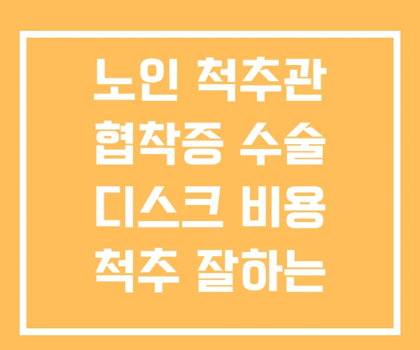 노인 척추관 협착증 수술 디스크 비용 척추 잘하는 병원 노인 척추관 협착증 수술 디스크 비용 척추 잘하는 병원