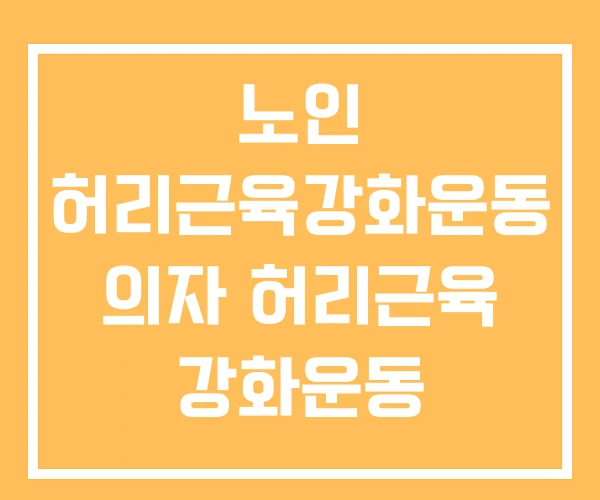 노인 허리근육강화운동 의자 허리근육 강화운동 초기디스크