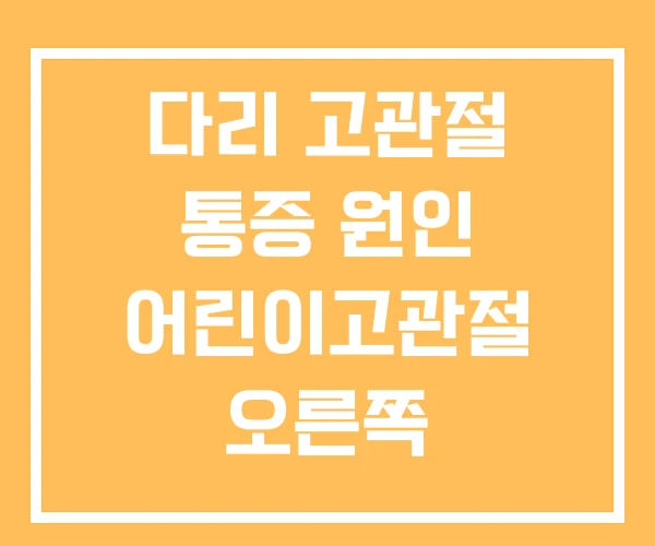 다리 고관절 통증 원인 어린이고관절 오른쪽 다리 고관절 통증 원인 어린이고관절 오른쪽