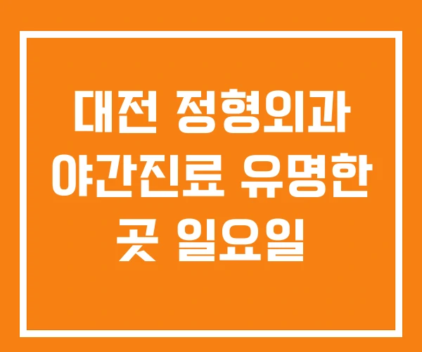 대전 정형외과 야간진료 유명한 곳 일요일