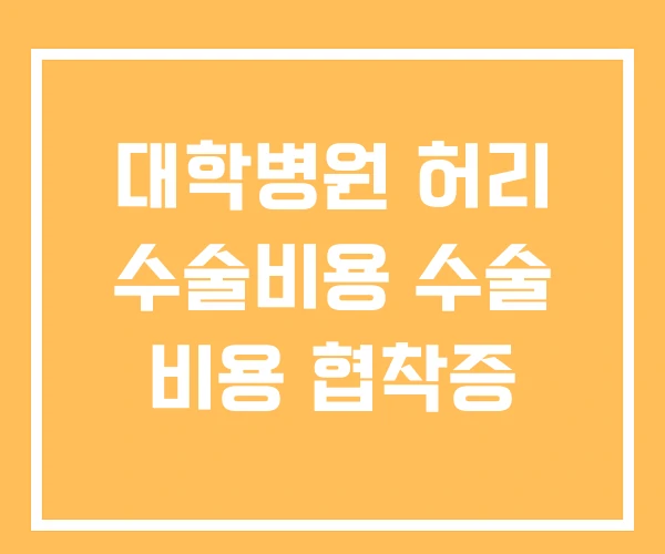 대학병원 허리 수술비용 수술 비용 협착증 대학병원 허리 수술비용 수술 비용 협착증