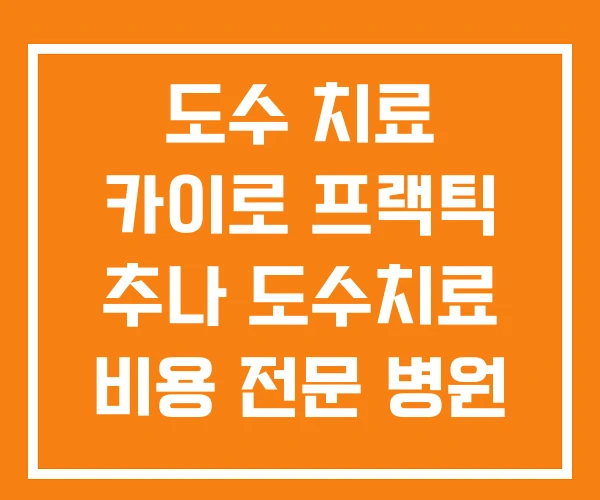 도수 치료 카이로 프랙틱 추나 도수치료 비용 전문 병원 도수 치료 카이로 프랙틱 추나 도수치료 비용 전문 병원