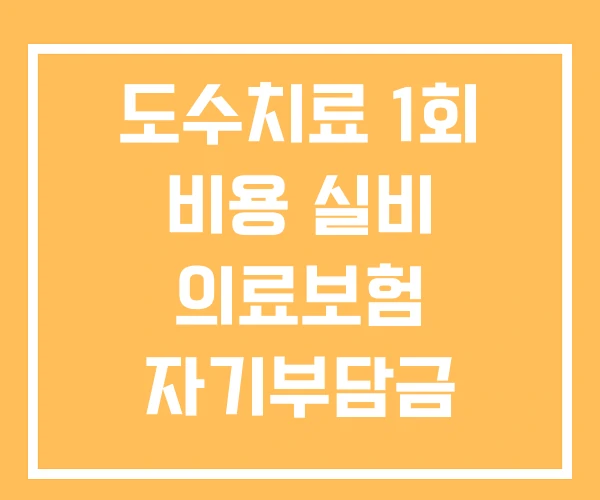 도수치료 1회 비용 실비 의료보험 자기부담금