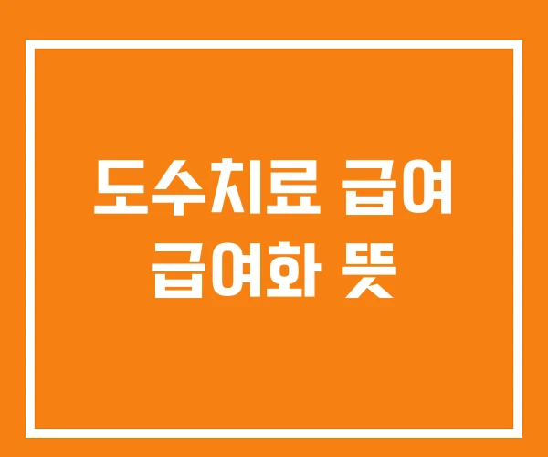 도수치료 급여 급여화 뜻 도수치료 급여 급여화 뜻