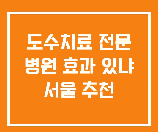 도수치료 전문 병원 효과 있냐 서울 추천 도수치료 전문 병원 효과 있냐 서울 추천