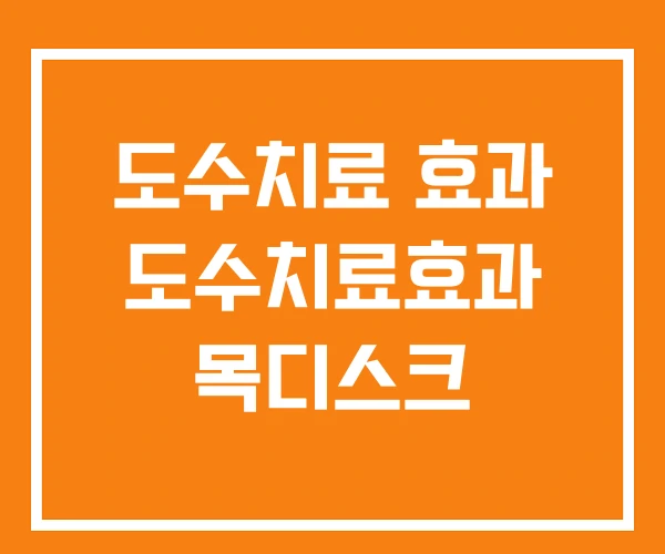 도수치료 효과 도수치료효과 목디스크