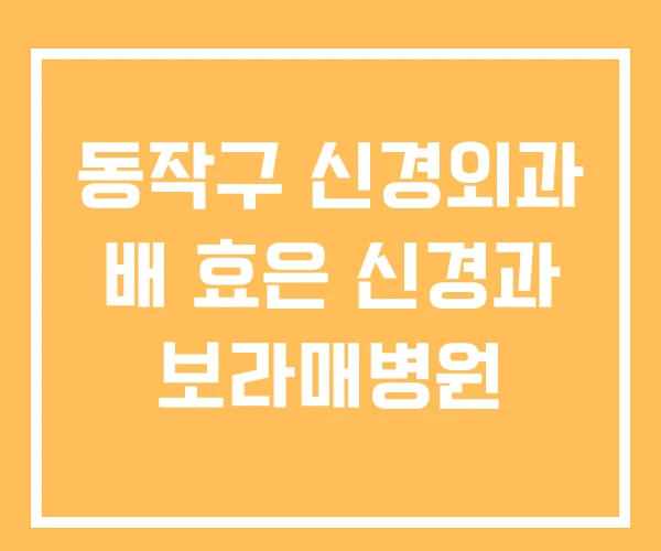 동작구 신경외과 배 효은 신경과 보라매병원 동작구 신경외과 배 효은 신경과 보라매병원