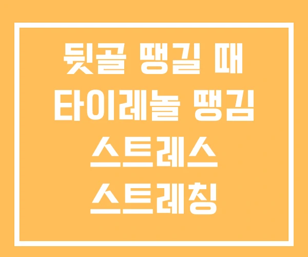 뒷골 땡길 때 타이레놀 땡김 스트레스 스트레칭
