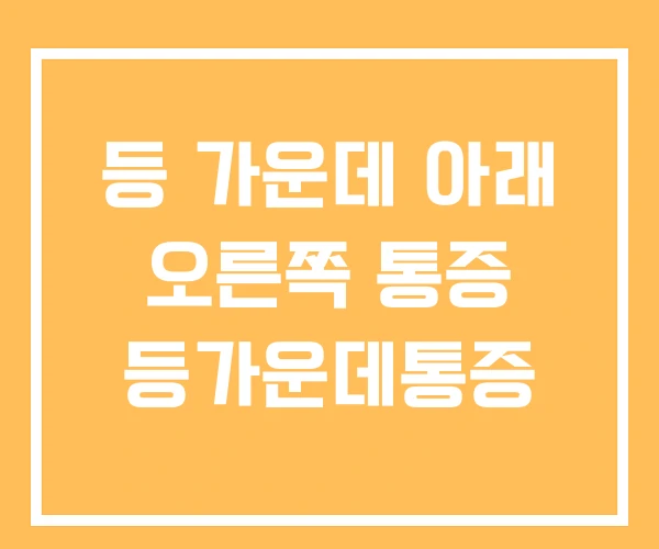 등 가운데 아래 오른쪽 통증 등가운데통증 등 가운데 아래 오른쪽 통증 등가운데통증
