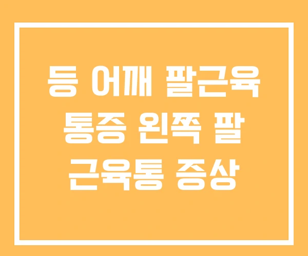 등 어깨 팔근육 통증 왼쪽 팔 근육통 증상