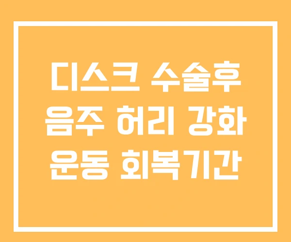 디스크 수술후 음주 허리 강화 운동 회복기간 디스크 수술후 음주 허리 강화 운동 회복기간