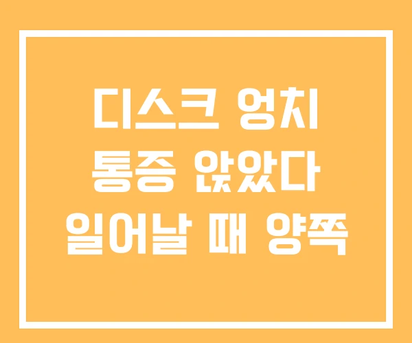 디스크 엉치 통증 앉았다 일어날 때 양쪽 디스크 엉치 통증 앉았다 일어날 때 양쪽