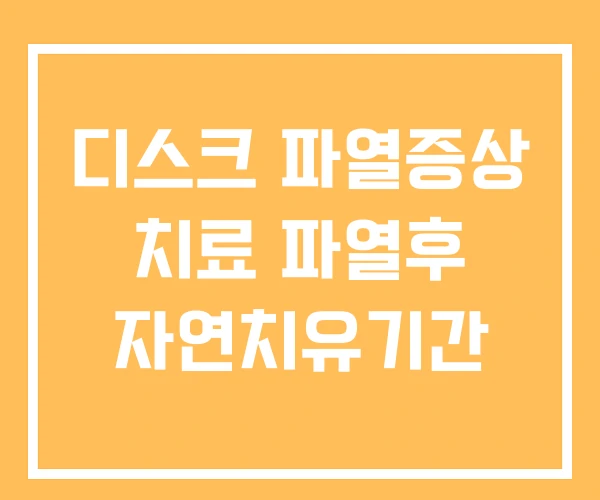 디스크 파열증상 치료 파열후 자연치유기간 디스크 파열증상 치료 파열후 자연치유기간