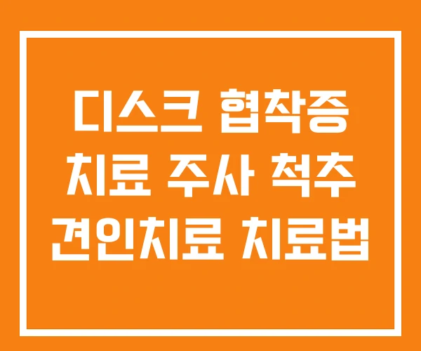 디스크 협착증 치료 주사 척추 견인치료 치료법 디스크 협착증 치료 주사 척추 견인치료 치료법