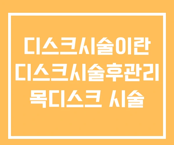 디스크시술이란 디스크시술후관리 목디스크 시술