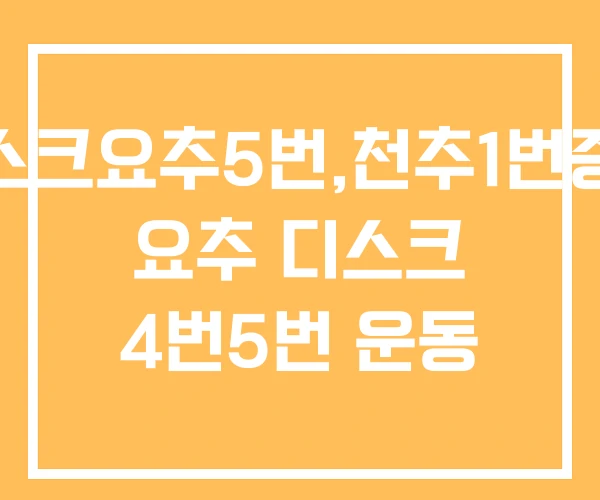 디스크요추5번,천추1번증상 요추 디스크 4번5번 운동 디스크요추5번,천추1번증상 요추 디스크 4번5번 운동